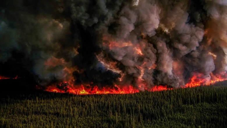 حرائق الغابات تجبر الآلاف على إخلاء منازلهم في كندا