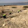 المناطق التنموية تنفذ حملة للحفاظ على بيئة منطقة البحر الميت 