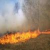 الدفاع المدني يخمد حريقي أعشاب ومحاصيل زراعية وتحذر المواطنين