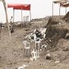  (حملات الفزعة) لإدامة نظافة شواطئ البحر الميت السياحية ..  إلى متى؟ 