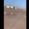 عشرات الكلاب السائبة تغزو مطار بغداد الدولي