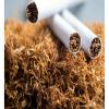540 دينارا متوسط إنفاق الأردنيين على التدخين سنويا
