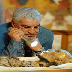 هجوم إسرائيلي على عالم مصري مشهور